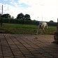 jugando!!!